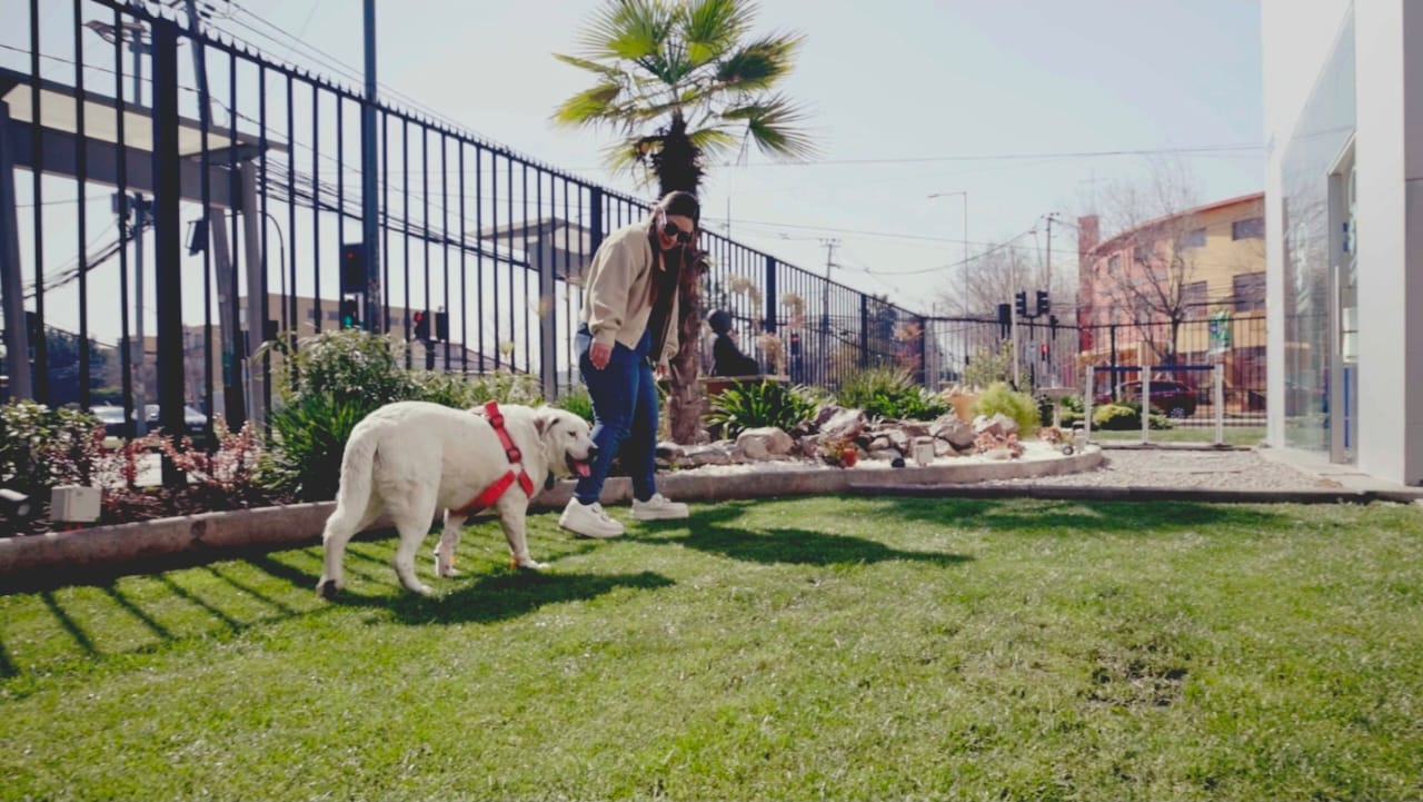 Imagen de vista previa